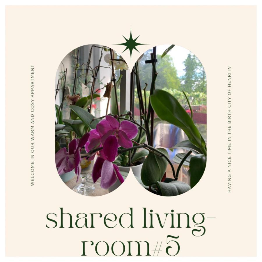 Chez Ramses Et Richelieu Bed & Breakfast Pau Bagian luar foto