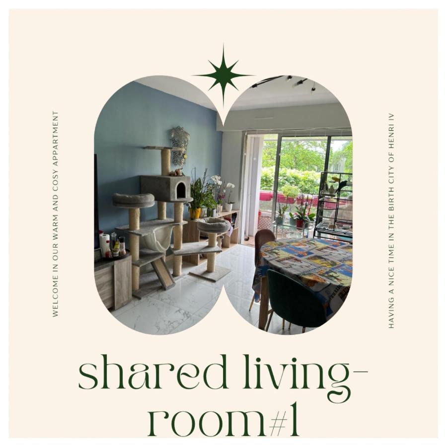 Chez Ramses Et Richelieu Bed & Breakfast Pau Bagian luar foto